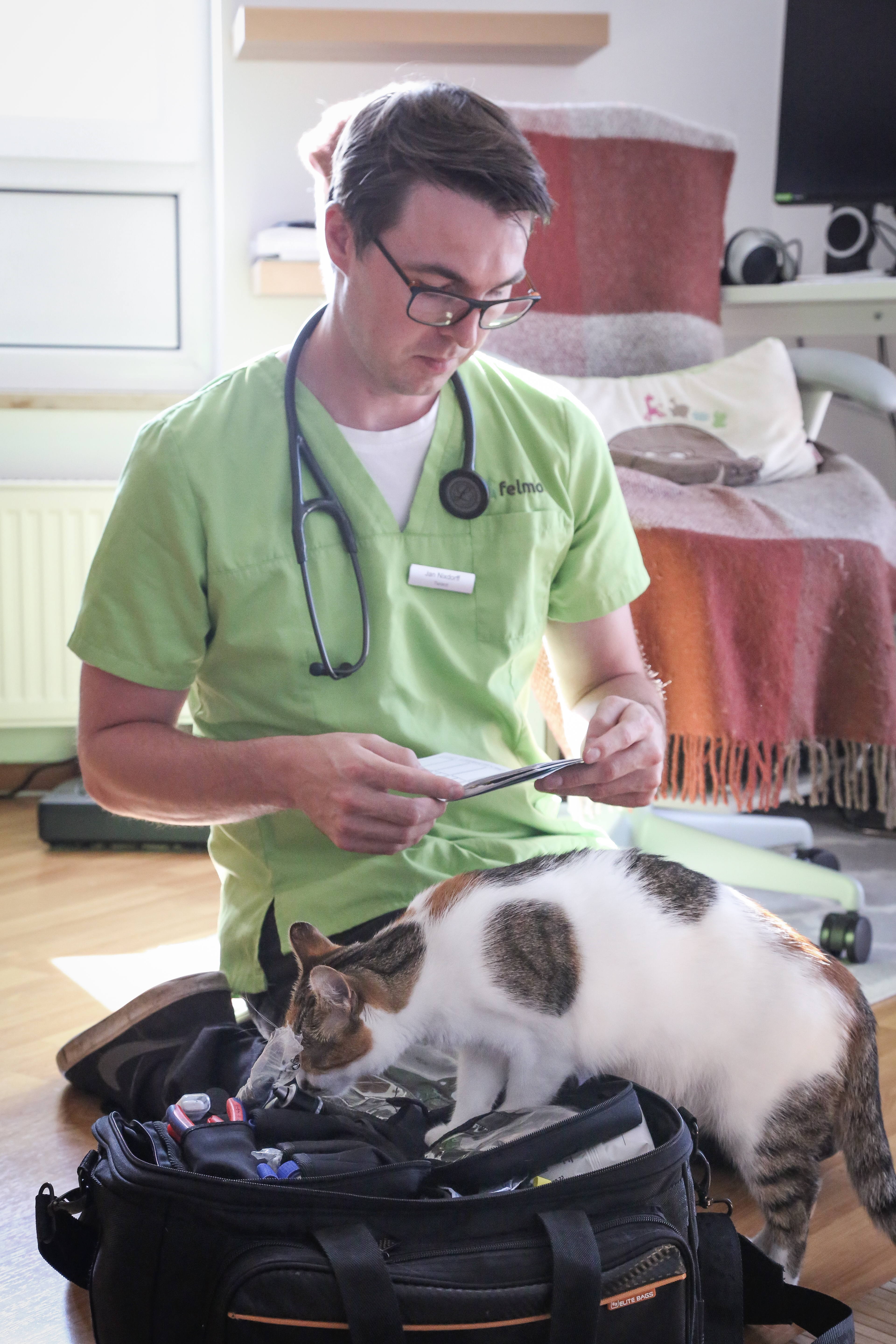Mobiler-Tierarzt-Katze-Tierarztvergleich_Bild-SandraAllekotte